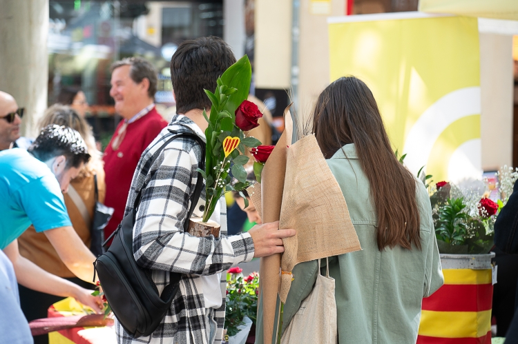 Sant Jordi