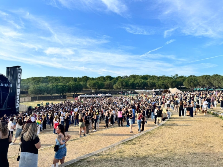 Festival Observa