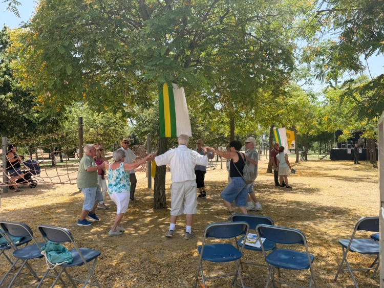 Els arbres han permès tenir ombra 