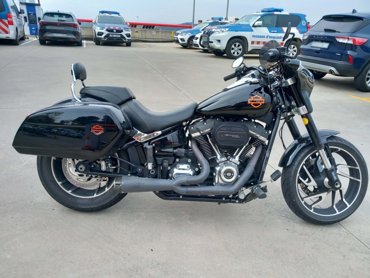 harley