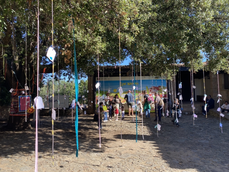 festa