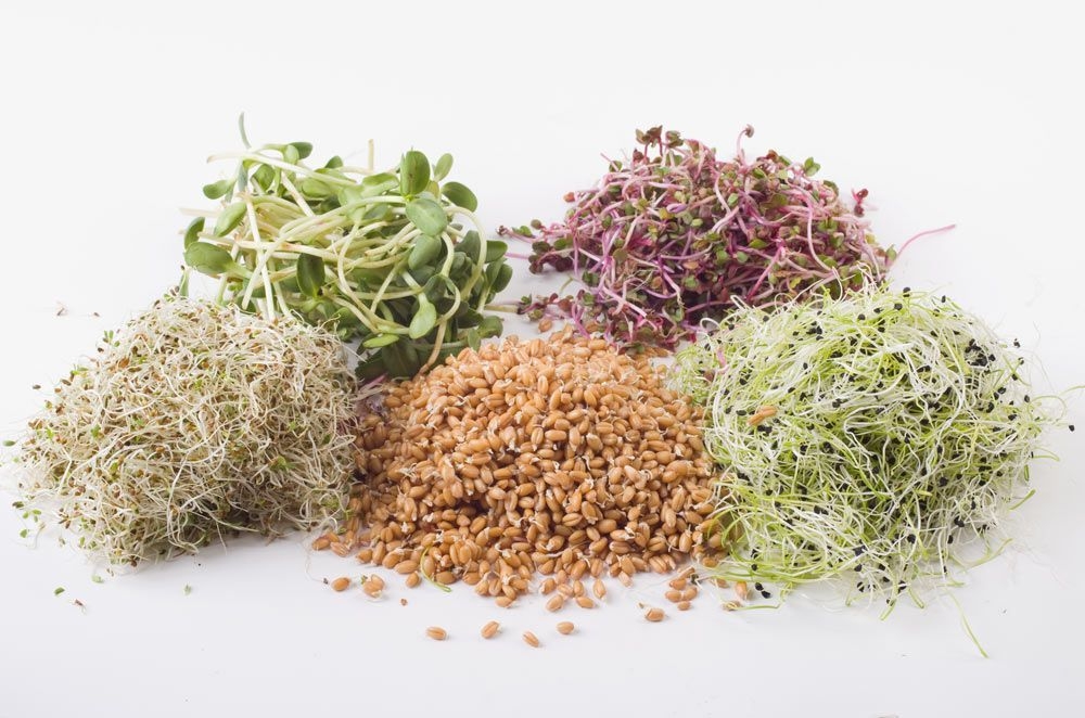 Germinats