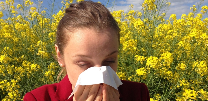 al·lèrgies primaverals