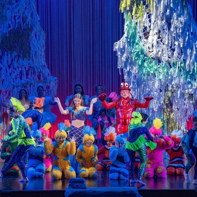 la sireneta farandula sabadell