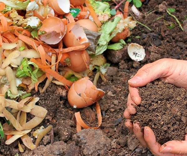 compost