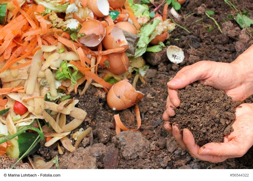 compost