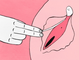 Imatge de ‘Le clitoris’, un curt de divulgació sobre l'òrgan del plaer femení YouTube: ‘Le clitoris’