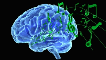 Quins són els benefics de la música? Com millora el seu rendiment escolar?