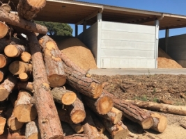  Viu el Vallès: La biomassa forestal com a energia renovable i  com a mesura per a poder prevenir incendis forestals  a la comarca 
