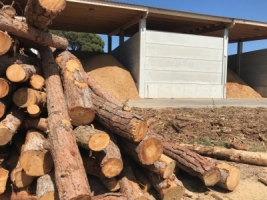 Viu el Vallès: La biomassa forestal com a energia renovable i com a mesura per a poder prevenir incendis forestals a la comarca