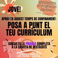 El Consell Comarcal ofereix informació i acompanyament als joves per a la recerca de feina