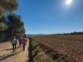 Més d'un centenar de persones participen en els diferents grups de marxa nòrdica de la UES