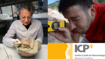 Ciència km0 |Isaac Casanovas, investigador ICP: “Tot Sabadell està sobre roques del Miocè. Si algú troba fòssils que ens truqui!” 
