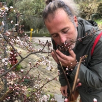 L'alegria de viure: Xavier Nuñez i Morera, art en constant moviment 