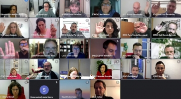 Ple telemàtic