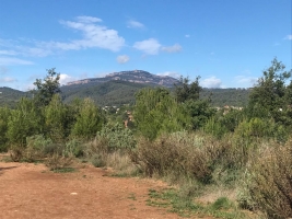 Sabadell volia incorporar el bosc de Can Deu dins del Parc | Adrián Arroyo
