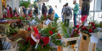 Roses per Sant Jordi