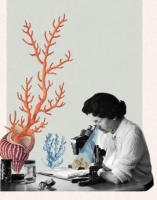 Collage creat per Taquel Pavan en  honor a Rachel Carson (1907 - 1964).