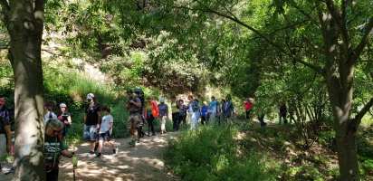 Aquest matí, alguns dels participants a la 37a pujada popular de La Salut