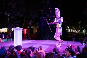 Els llums, la Fira de Santa Llúcia i els pessebres donen el tret de sortida a la festa | Roger Benet