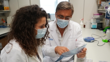 El nou mecanisme consisteix a inhibir una proteïna per reduir la proliferació de les cèl·lules canceroses | UAB