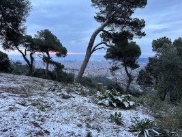 La neu ha caigut a cotes baixes a Catalunya | ACN