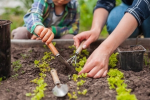 Imatge Istockphoto