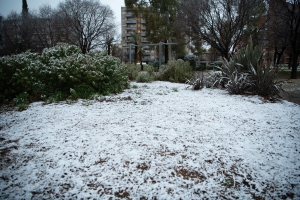 Neu al Parc Taulí
