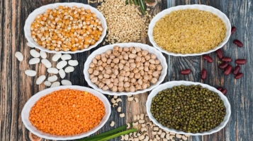 Tothom a taula: Reivindiquem els empedrats o els llegums a la dieta!