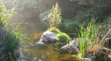Imatge del riu Ripoll (cedida)