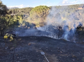 Un bosc cremat/ ADF