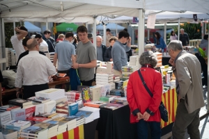 El llibre Obert: Balanç positiu de la diada de Sant Jordi 