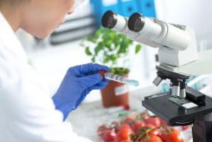 El Consell Comarcal busca dones que vulguin formar-se en indústria agroalimentària