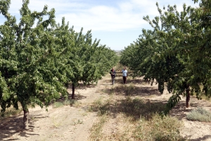 El Col·legi d'Agrònoms demana millores en els regs de Catalunya | ACN 