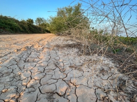 Amb les pluges, els embassaments s'han recuperat un 1 per cent | Arxiu