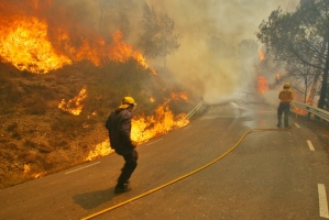 Les flames a l'incendi de Sant Llorenç/ Cedida