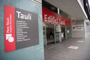 Taulí