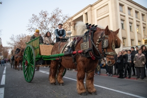 Tres Tombs de Sant Antoni 2024: Recorregut i Novetats