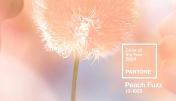 Peach Fuzz, Color Pantone  2024