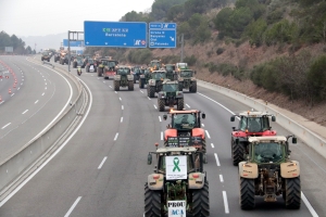 El sector primari està de mobilitzacions a Catalunya | ACN