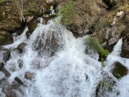 Una de les fonts del Llobregat amb un important volum d'aigua | ACN